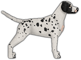 Profile image of LEGACY at Deyevra