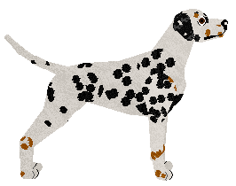 Aubz Wishmas 2019 — “Gift”