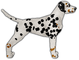 Profile image of Aubz Wishmas 2019