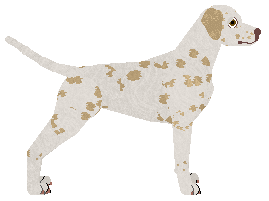 Aubz Making Lemonade — “Lemon”