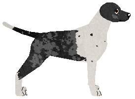 CHARMING at Deyevra — “Prince”