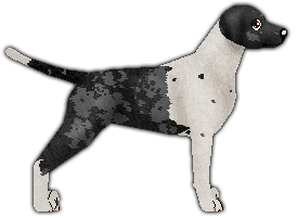 Profile image of CHARMING at Deyevra