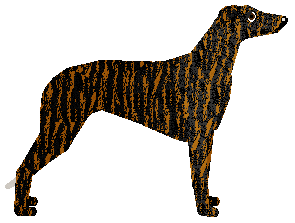 Loveshack BUTTERFLY — “Punky”