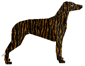 Loveshack BUTTERFLY — “Punky”