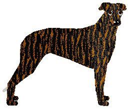 Profile image of Loveshack BUTTERFLY