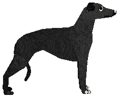 Loveshack Final Countdown — “Shawn”