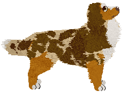 Rebel's NIE ZATRZYMUJ SIĘ — “Duo”