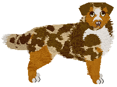 Rebel's NIE ZATRZYMUJ SIĘ — “Duo”