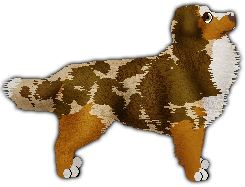 Profile image of Rebel's NIE ZATRZYMUJ SIĘ