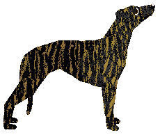 Loveshack Forever Runner — “Soko”