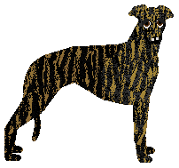 Profile image of Loveshack Forever Runner