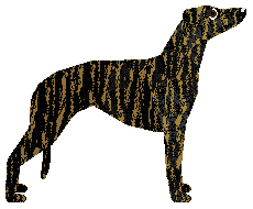 Loveshack Prosto w Serce — “Tammy”