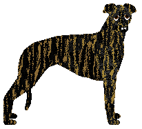 Profile image of Loveshack Prosto w Serce