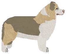 Praetorious Hunting Bears — “Gun”