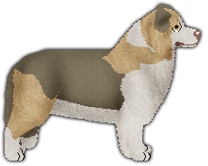 Profile image of Praetorious Hunting Bears