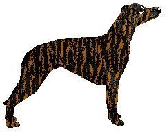 Loveshack DIRT RALLY — “Tiger”