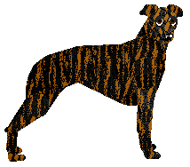 Profile image of Loveshack DIRT RALLY