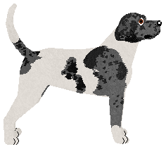 Blizzard UNKNOWN LEGACY — “Ciri”