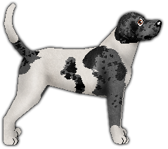 Profile image of Blizzard UNKNOWN LEGACY