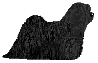 Energizing BACK TO BLACK — “Blackie”