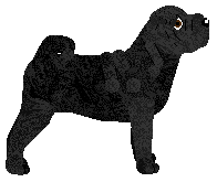 Energizing Merry Happy Whatever — “Czarek”