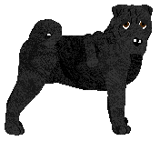 Profile image of Energizing Merry Happy Whatever