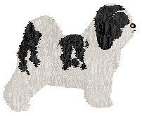 Kamvis Karma Ceten — “Karma”