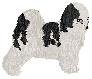 Profile image of Kamvis Karma Ceten