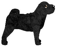 Energizing Made In The A.M — “Maggie”