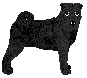 Profile image of Energizing Made In The A.M