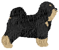 Kamvis Niatri Cenpo — “Nari”