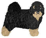 Profile image of Kamvis Niatri Cenpo