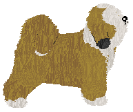 Kamvis Rinczen Sangpo — “Rino”