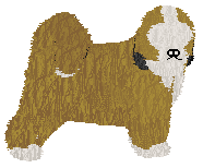 Profile image of Kamvis Rinczen Sangpo