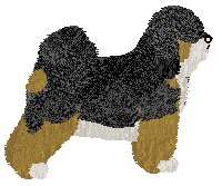 Rebel/Kamvis Songcen Gampo — “Gamp”