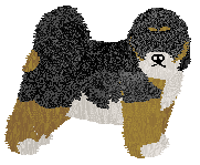 Profile image of Rebel/Kamvis Songcen Gampo