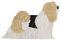 Energizing Blink Blink — “Tommy”