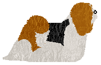 Energizing YENNEFER — “Yennefer”