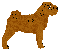 Energizing My Love, My Life — “Zbyszek”