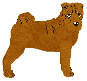 Profile image of Energizing My Love, My Life