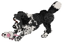 Cargo's She's Gunna Fly of Holiday Ranch — “Sly”