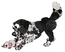 Cargo's She's Gunna Fly of Holiday Ranch — “Sly”