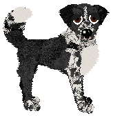 Cargo's She's Gunna Fly of Holiday Ranch — “Sly”