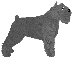 Energizing I WAS SOLO, LIVING YOLO — “Bzium”