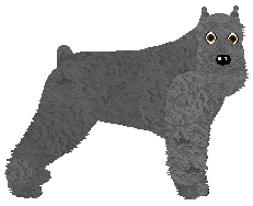 Profile image of Energizing I WAS SOLO, LIVING YOLO