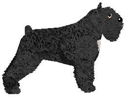 Energizing FORGET ABOUT YOU — “Billy”