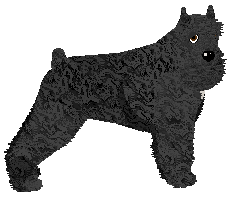 Profile image of Energizing FORGET ABOUT YOU