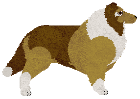 Energizing Final Exam — “Blaine”