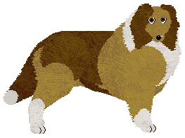 Profile image of Energizing Final Exam