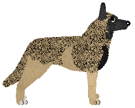 Czeko's No Regrets, Just Love — “Britney”